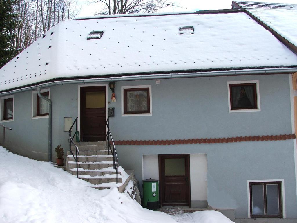 Apartmán Haus Daniel Mariazell Pokoj fotografie